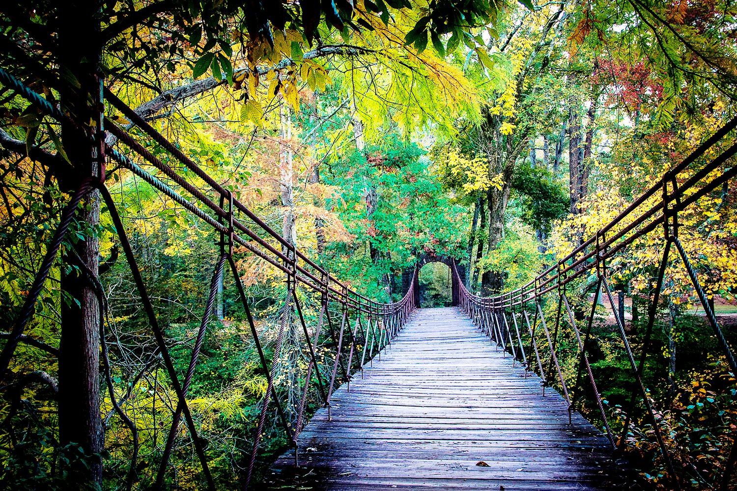 Tishomingo State Park named 6 in Top 10 parks for camping in USA